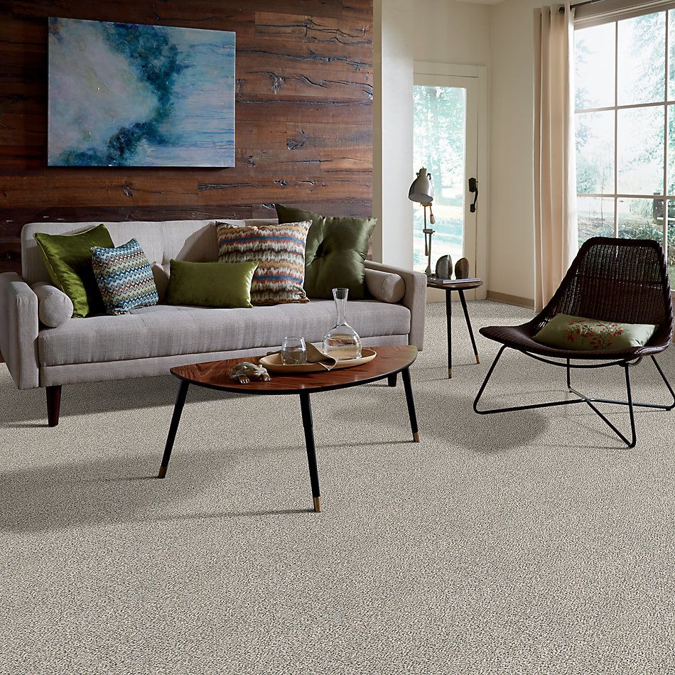 Shaw Floors Value Collections Marks The Spot II Smoky Gray 00500_E9915
