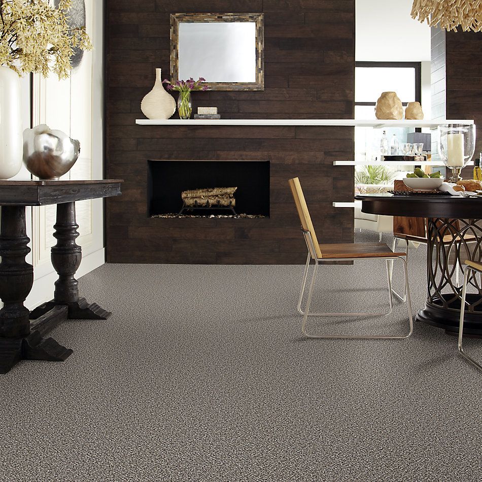 Shaw Floors Value Collections Accents For Sure 15′ Alaskan Air 00500_E9923