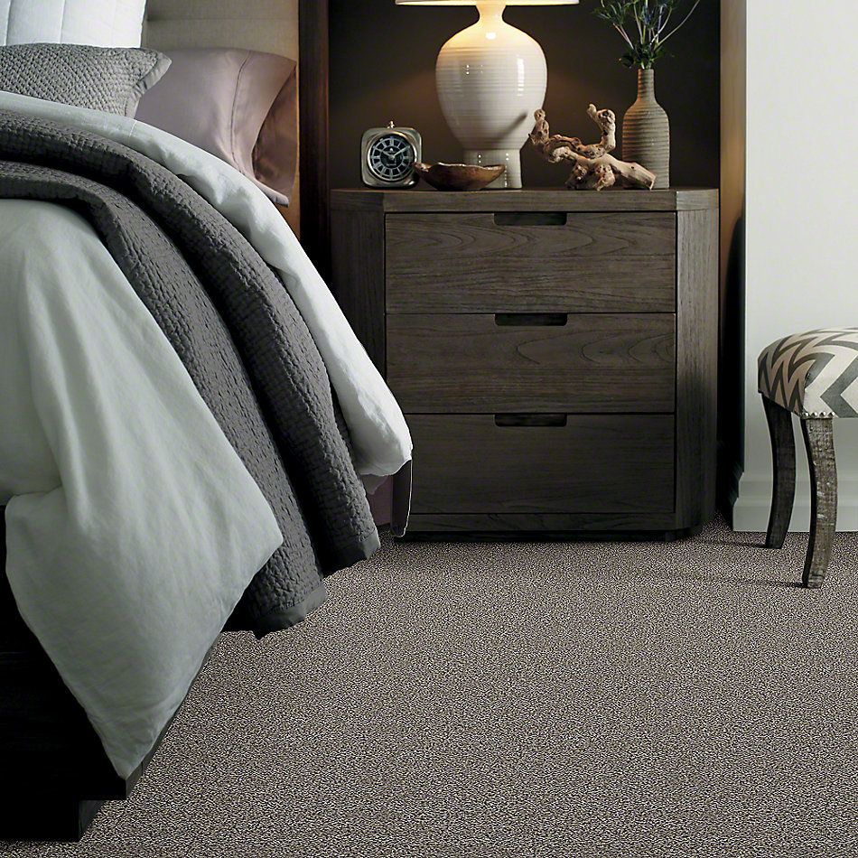 Shaw Floors Simply The Best Breathe & Reflect Castle 00500_EA688