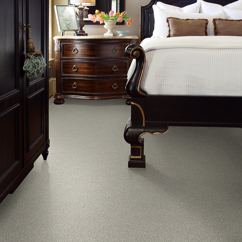 Shaw Floors Nfa Just A Touch II Platinum 00500_NA222