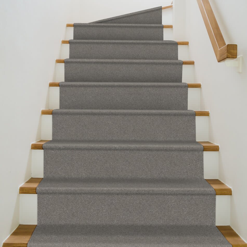 Shaw Floors Nfa Rocking Hard II Stainless 00500_NA554
