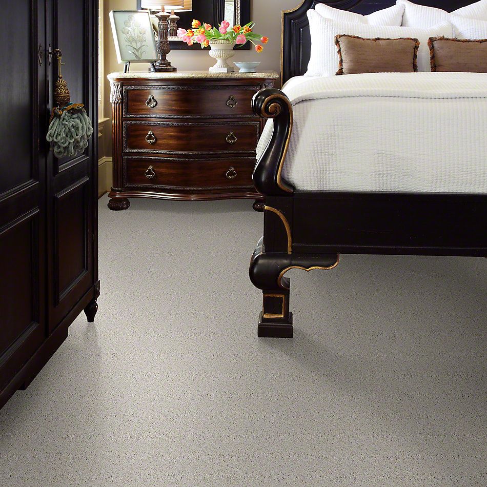 Shaw Floors Shaw Design Center Welcome Wagon Crystal Gray 00500_QC408
