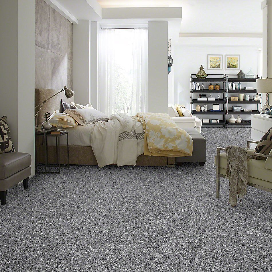Shaw Floors Roll Special Xv442 Windy City 00500_XV442