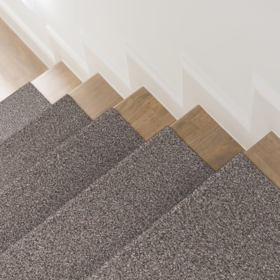 Shaw Floors Value Collections Xy145 12′ Net Alaskan Air 00500_XY145