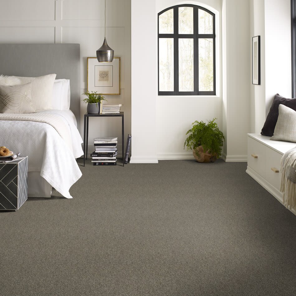Shaw Floors Value Collections Xy207 Net Dynamic 00500_XY207