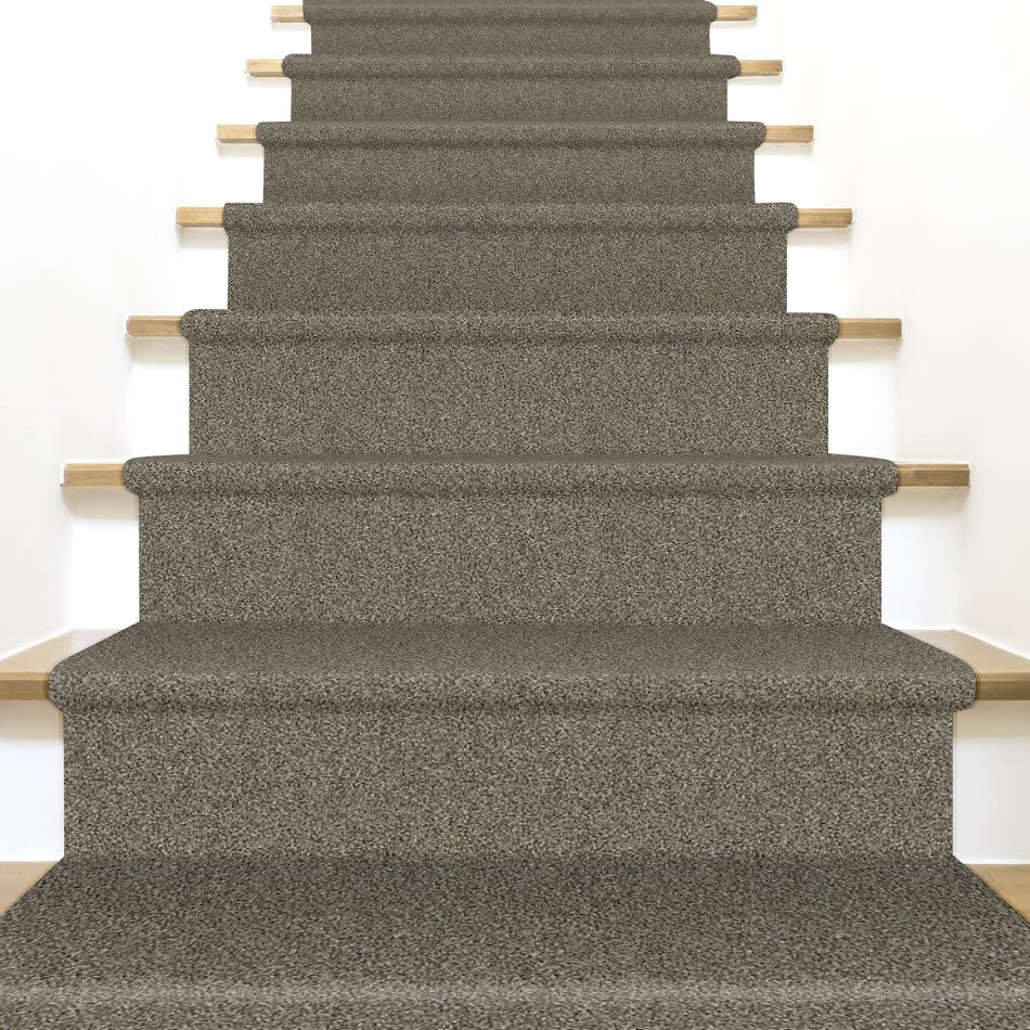 Shaw Floors Value Collections Xy207 Net Dynamic 00500_XY207