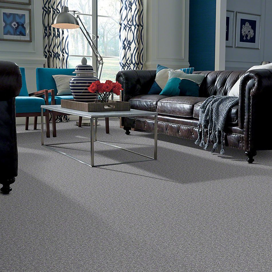 Shaw Floors Instant Winner Waterford 52E28_00501