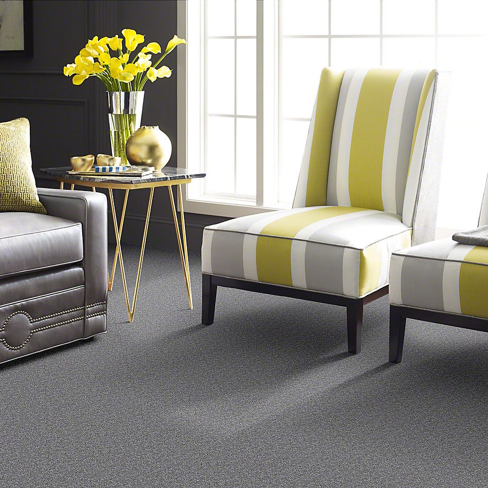 Shaw Floors Instant Winner Waterford 52E28_00501