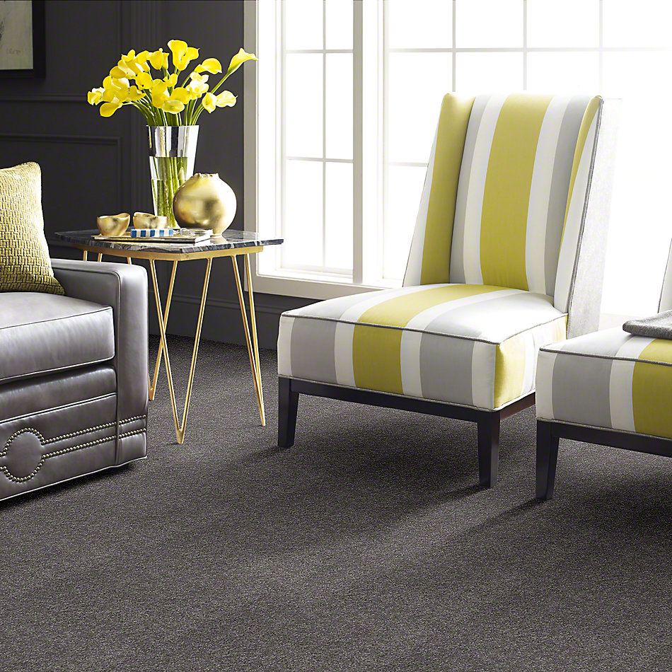 Shaw Floors Town Creek I 15′ Pewter 52V12_00501