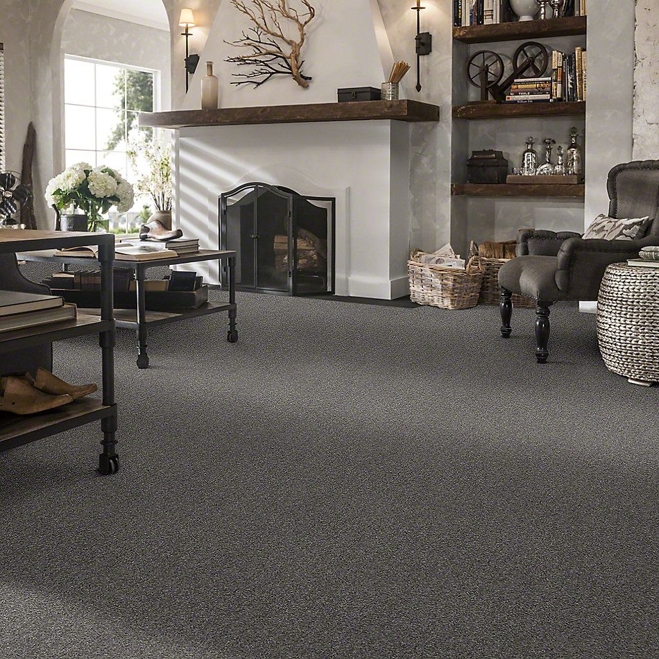 Shaw Floors Full Court 12′ Ink Spot 52Y46_00501