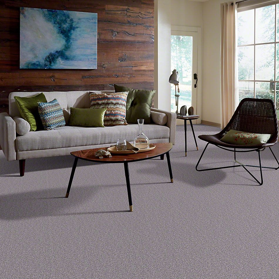 Shaw Floors Full Court 15′ Ink Spot 52Y82_00501