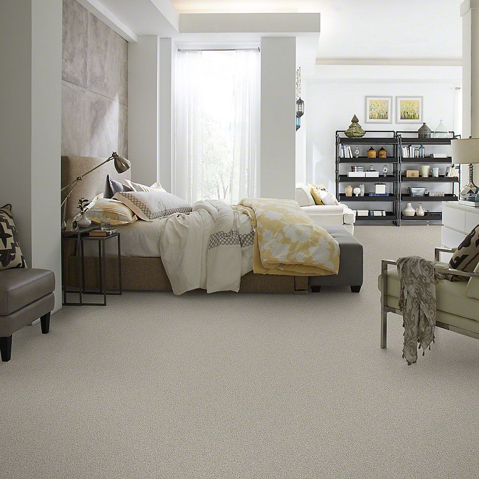 Shaw Floors Shaw Design Center Beautifully Simple I 15′ Dove Tail 00501_5C751