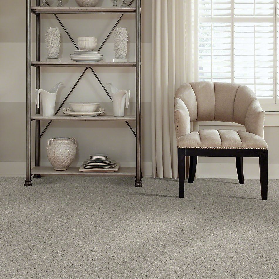 Shaw Floors Shaw Design Center Beautifully Simple II 15′ Dove Tail 00501_5C752