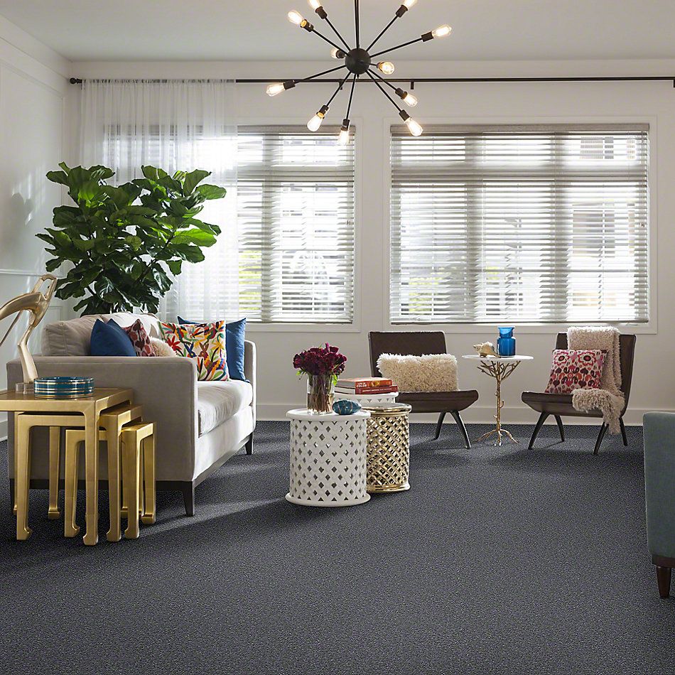 Shaw Floors Shaw Design Center Honest To Goodness Mindful Gray 00501_5C793