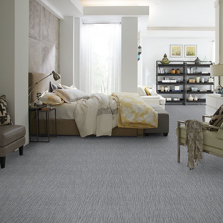 Shaw Floors Pet Perfect Plus Nature Within Stormy Breeze 00501_5E278