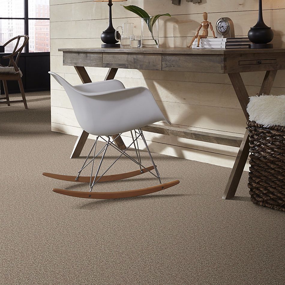 Shaw Floors Value Collections Break Away (s) Net Soft Taupe 00501_5E282