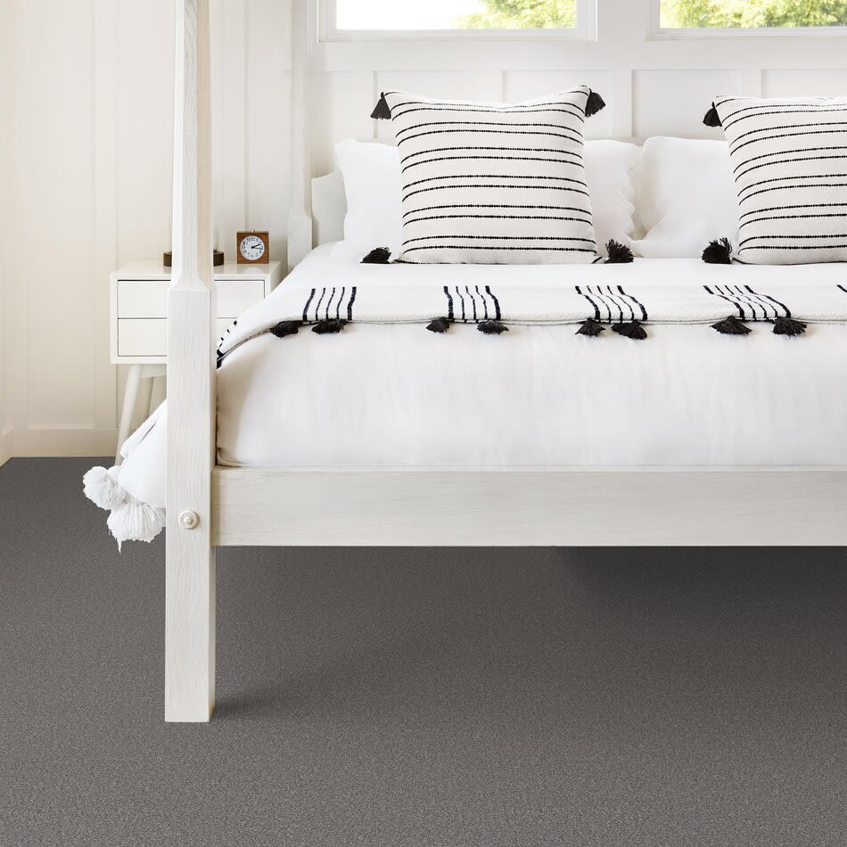 Shop Shaw Floors Simply The Best Boundless I Flannel 00501_5E485 Carpet ...