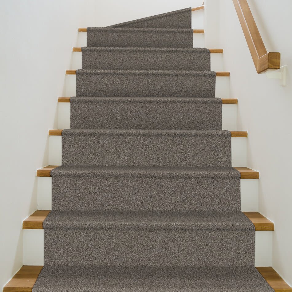 Shaw Floors Pet Perfect Plus Artistic Fusion I Net Ashes 00501_5E610
