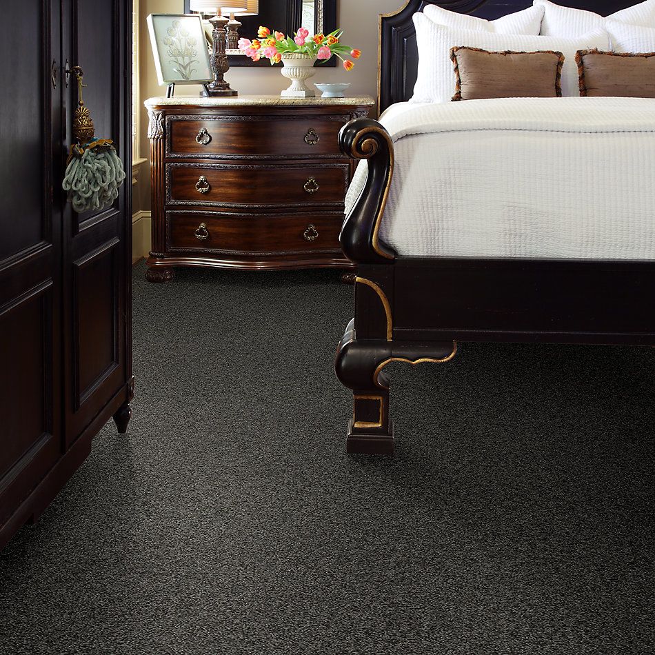 Shaw Floors Carpet Diem Nightfall 00501_6E009