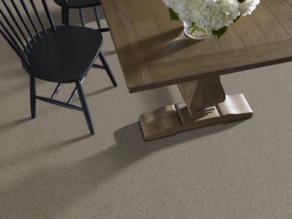 Shaw Floors Ultratouch Anso Exalted Beauty I Grey Flannel 00501_748Z7