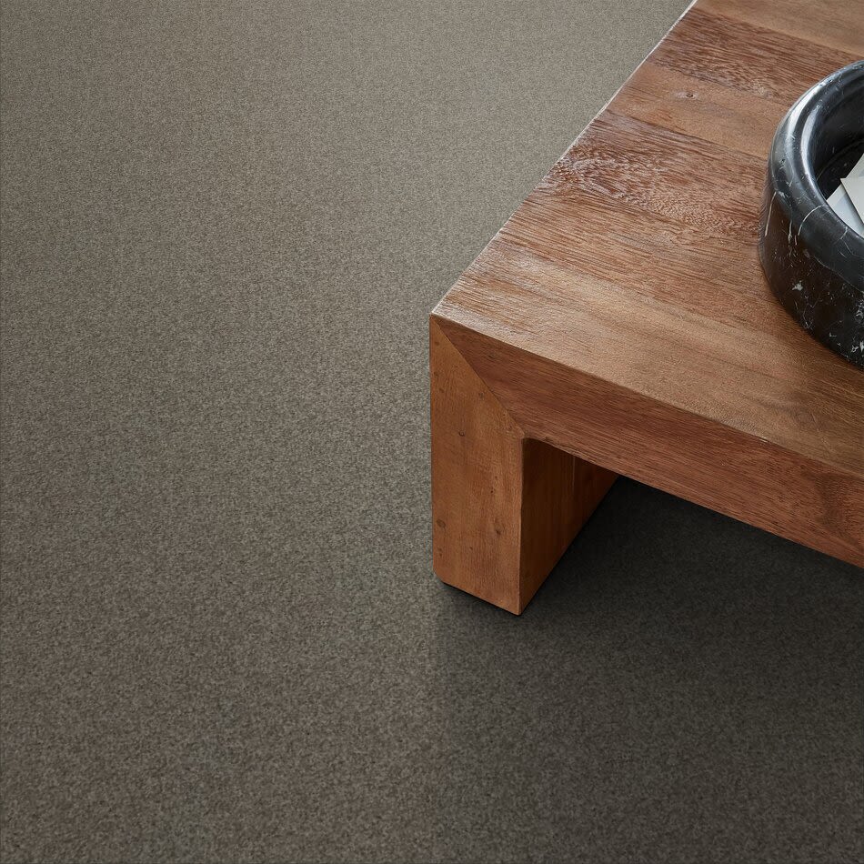 Shaw Floors Ultratouch Anso Exalted Beauty I Grey Flannel 00501_748Z7