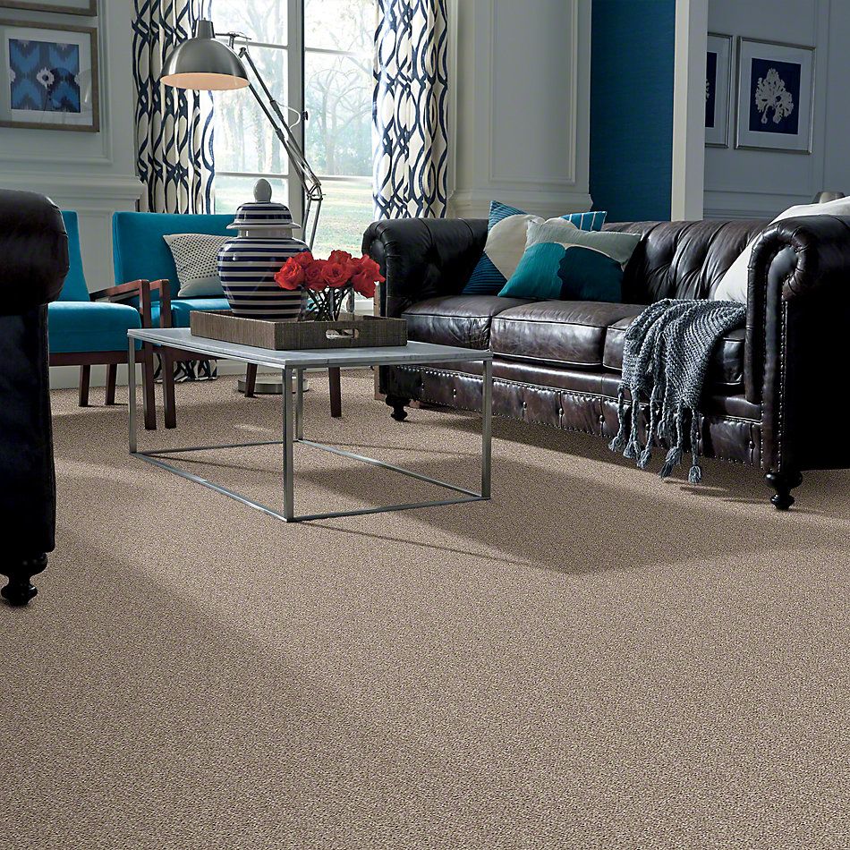 Shop Shaw Floors Go Big Glimmer 00501 E0571 Carpet Shelley Carpets