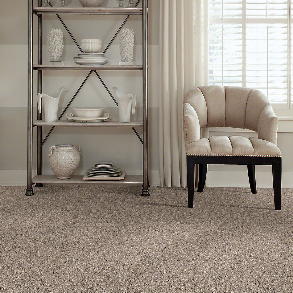 Shaw Floors Value Collections Go Big Net Glimmer 00501_E0718