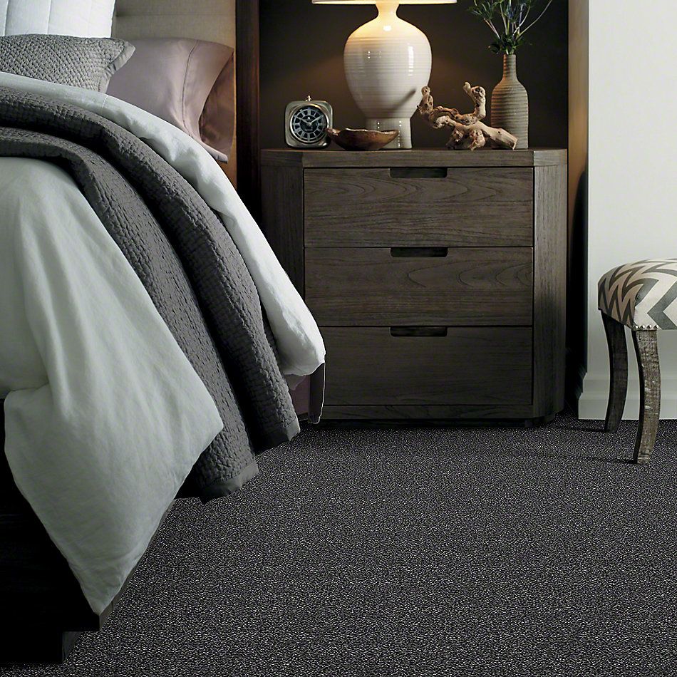 Shaw Floors Value Collections Because We Can I 12′ Net Rocky Mountains 00501_E9312
