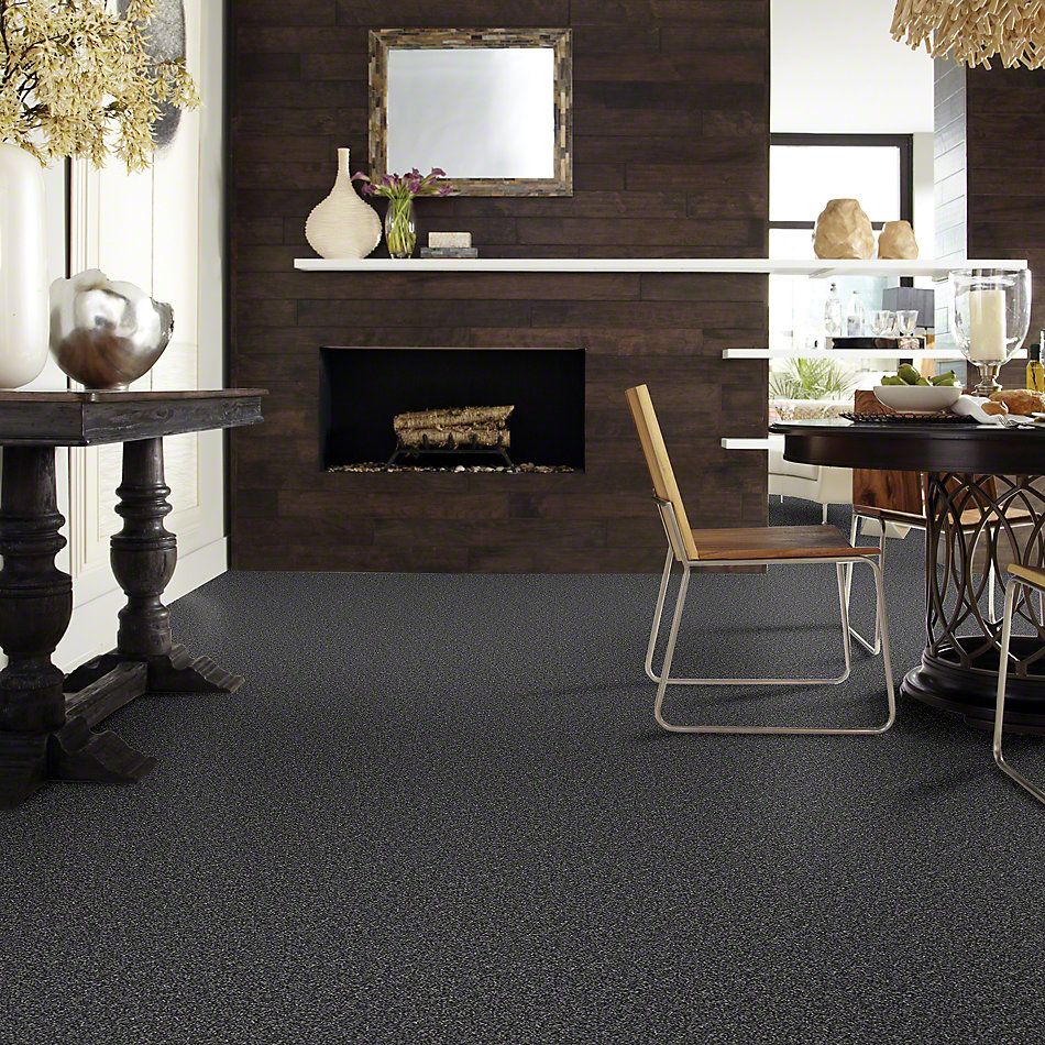Shaw Floors Value Collections Because We Can I 15′ Net Rocky Mountains 00501_E9313