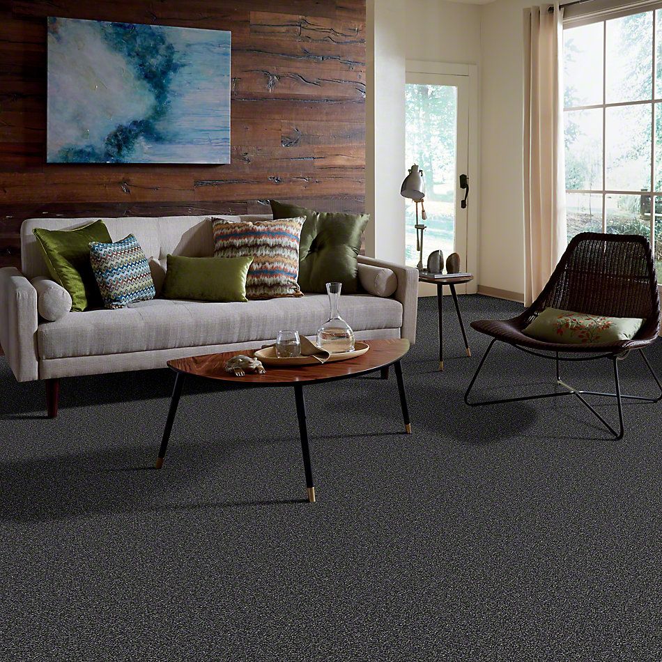 Shaw Floors Value Collections Because We Can II 15′ Net Rocky Mountains 00501_E9315
