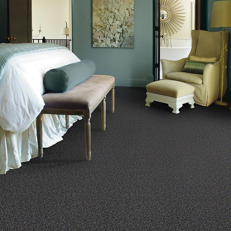 Shaw Floors Value Collections Because We Can III 15′ Net Rocky Mountains 00501_E9317