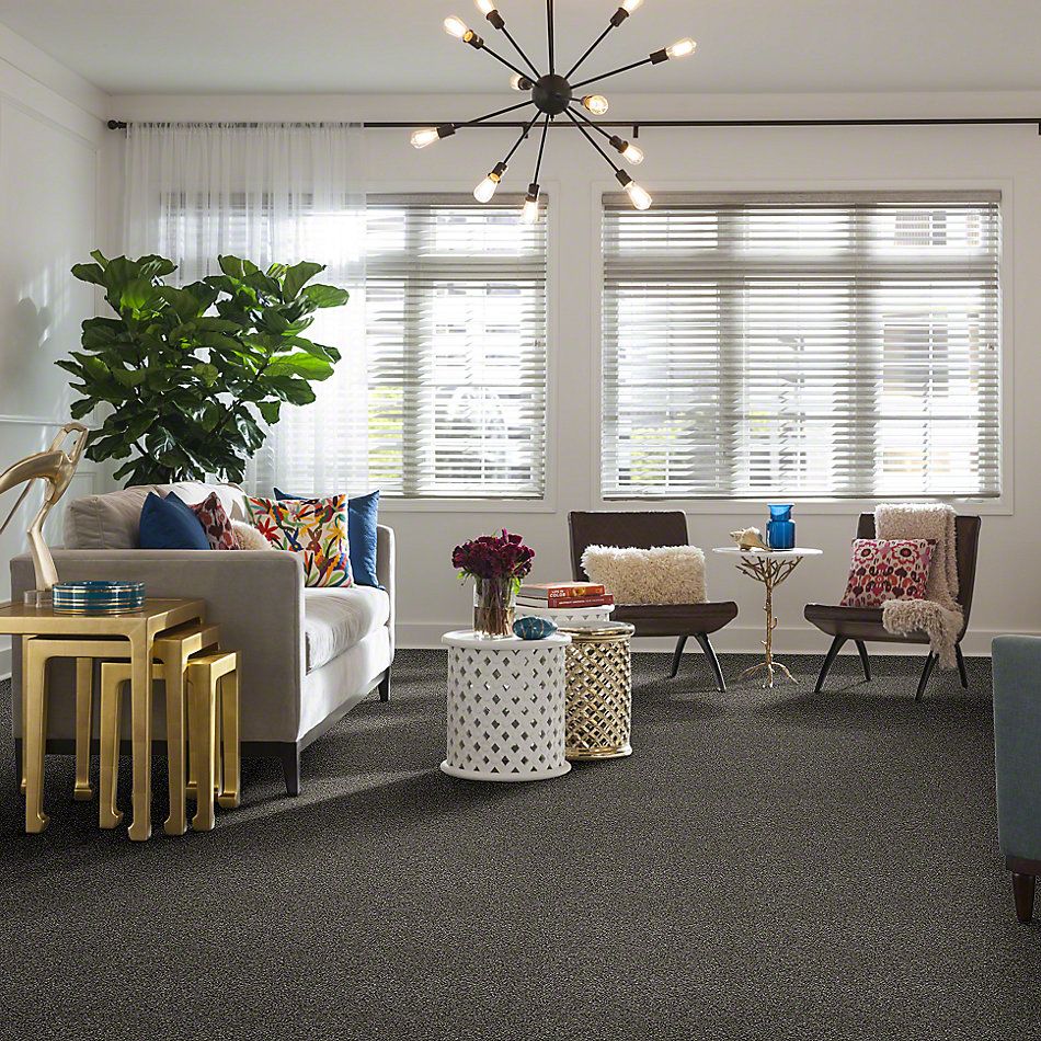 Shaw Floors Value Collections Of Course We Can I 15 Net Ashes 00501_E9432