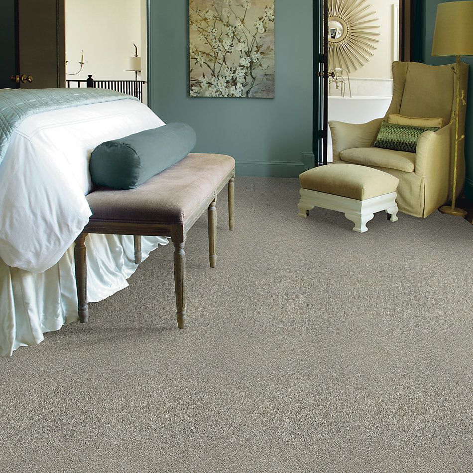 Shaw Floors Value Collections Frappe I London Fog 00501_E9912