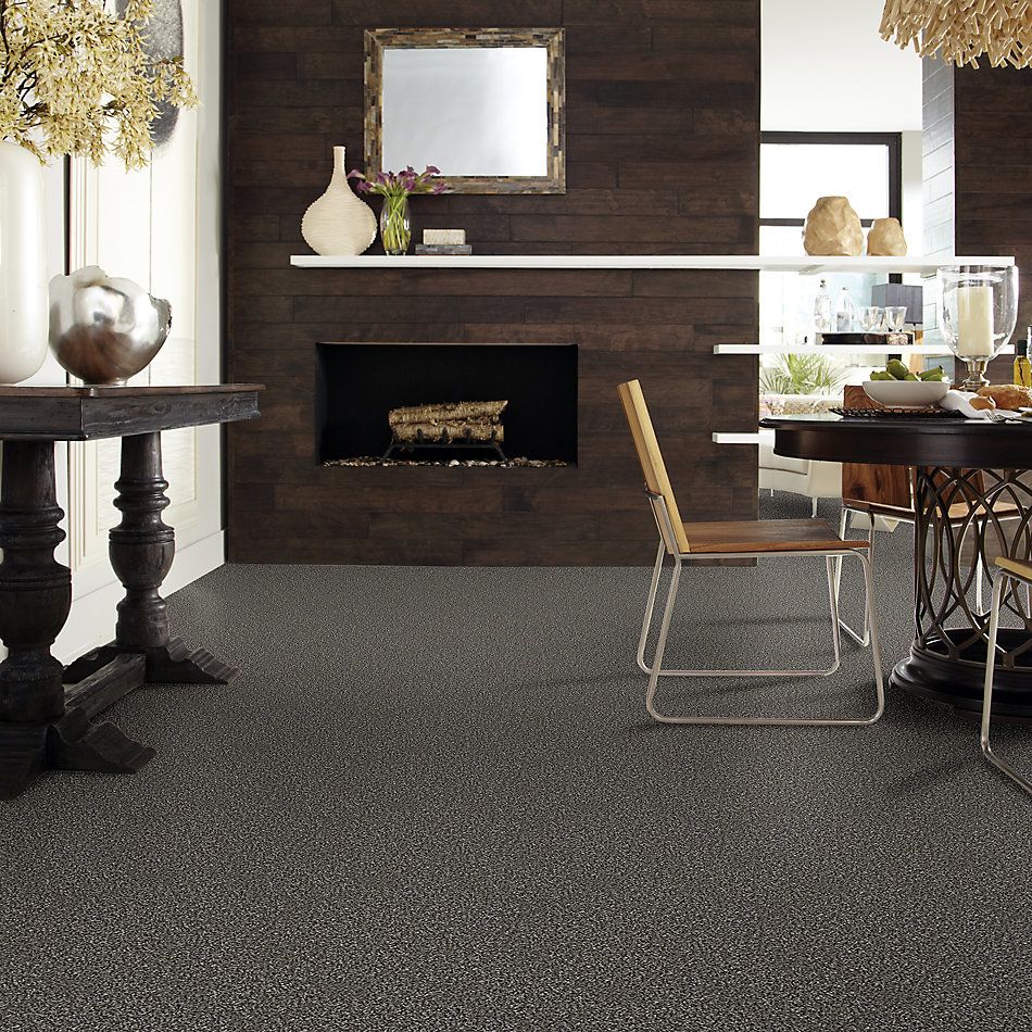 Shaw Floors Value Collections Breathe & Reflect Net Meteorite 00501_EA720