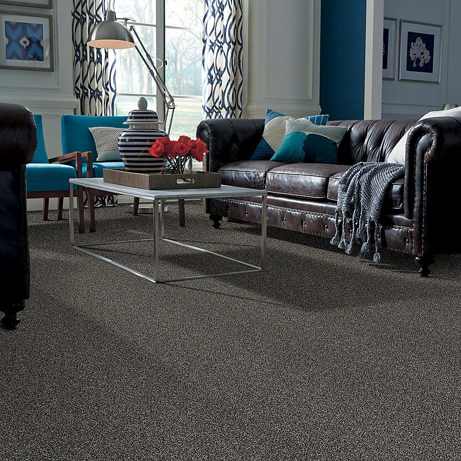 Shaw Floors Home Foundations Gold Grand Isle Salt And Pepper 00501_HGP58