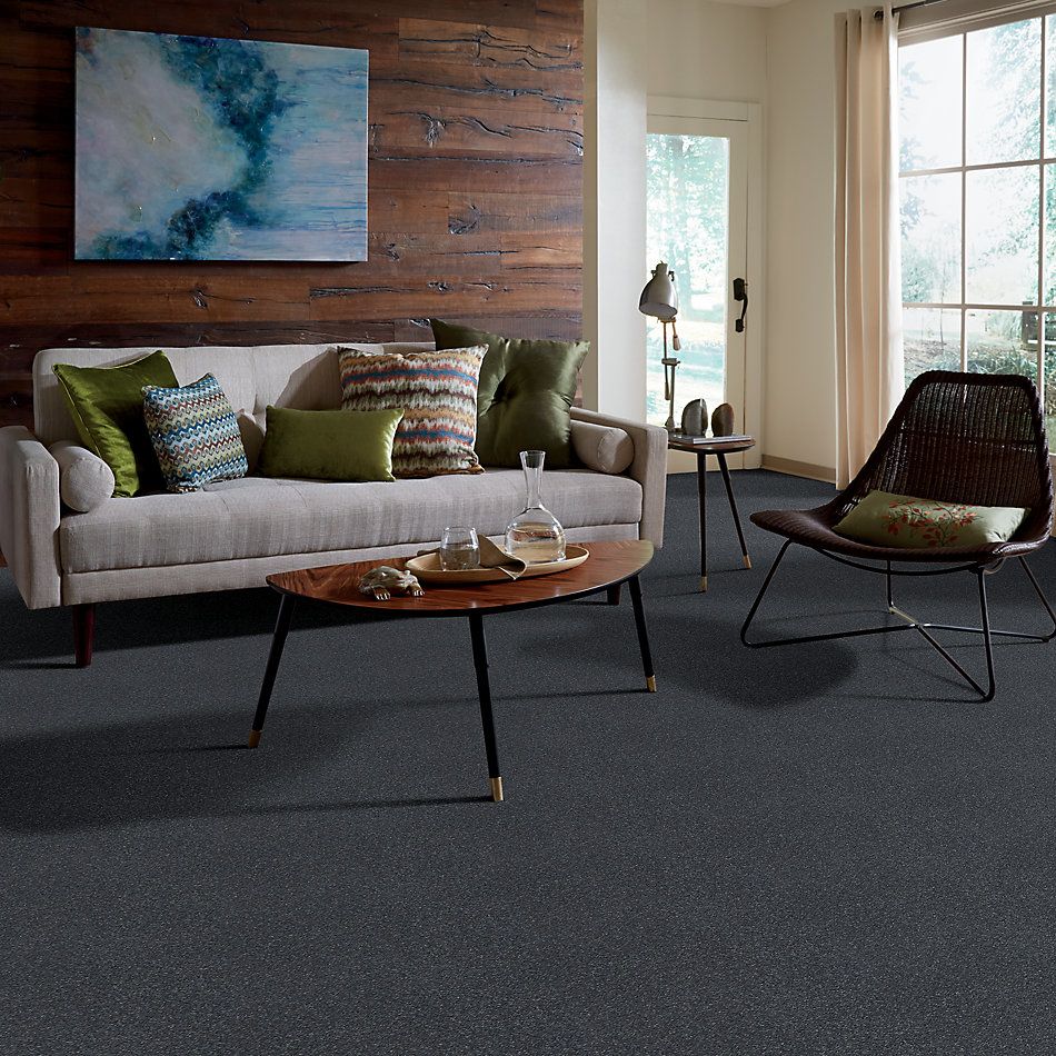 Shaw Floors Nfa Relentless I 15 Iron 00501_NA504