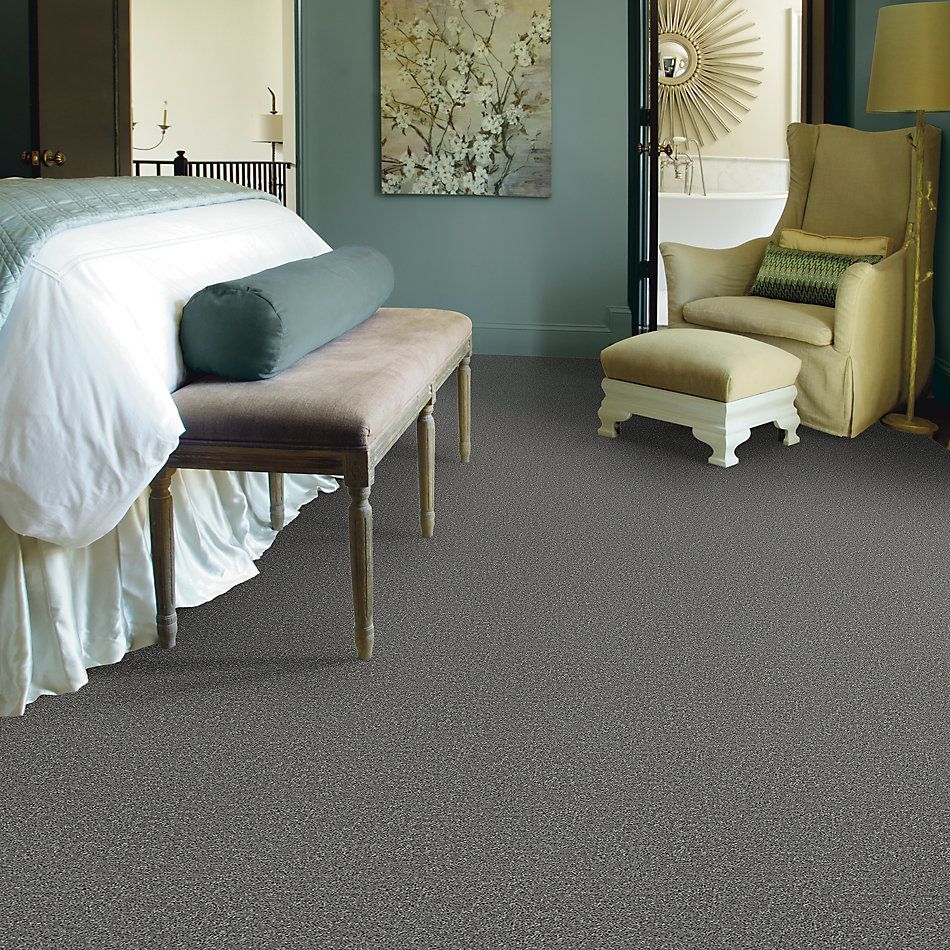 Shaw Floors Roll Special Xv864 Ink Spot 00501_XV864