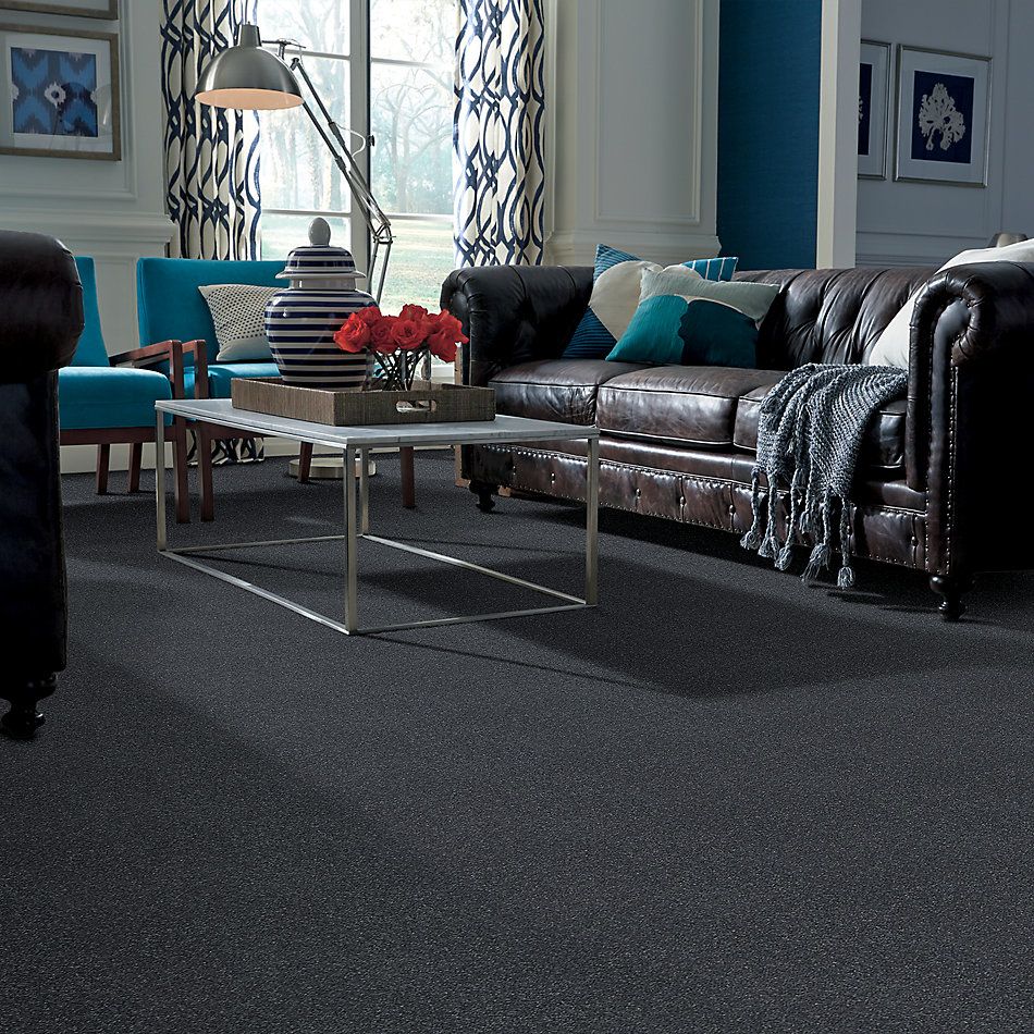 Shaw Floors Value Collections Xz161 Net Iron 00501_XZ161
