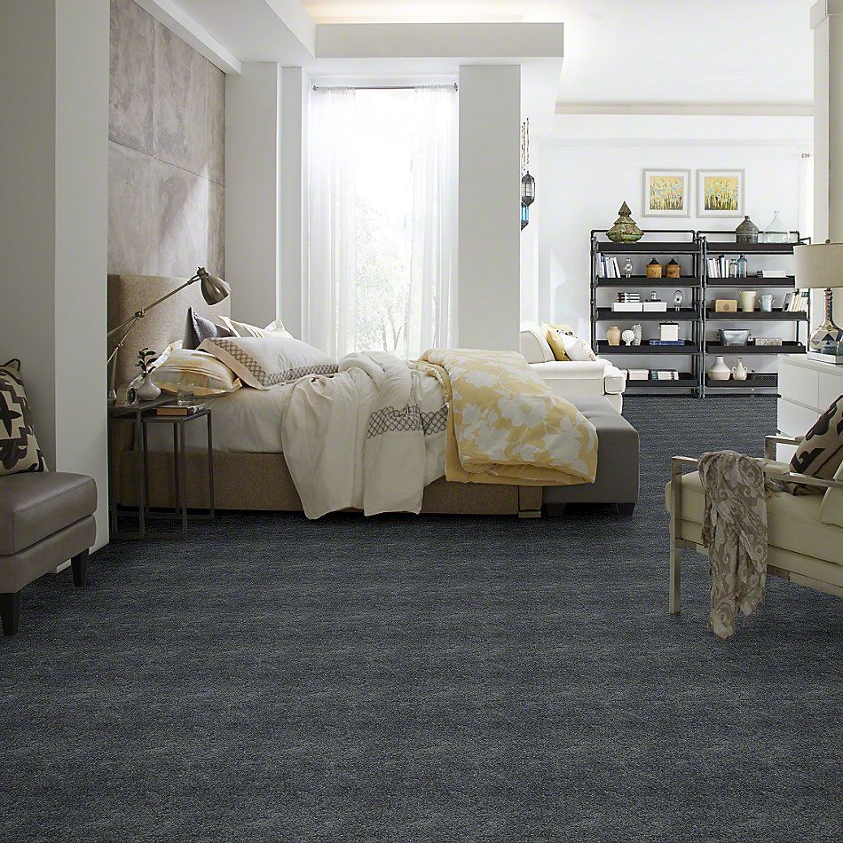 Shaw Floors Shaw Flooring Gallery Chromatic Black Sand 53633_00502