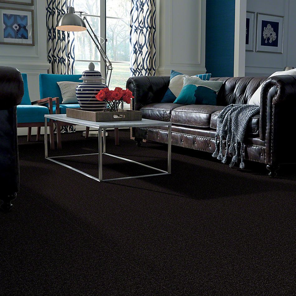 Shaw Floors Full Court 15′ Armour 52Y82_00502