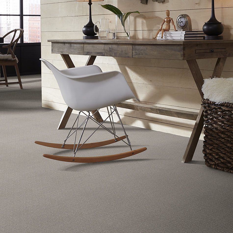 Shaw Floors Simply The Best Transform Net Feather 00502_5E351