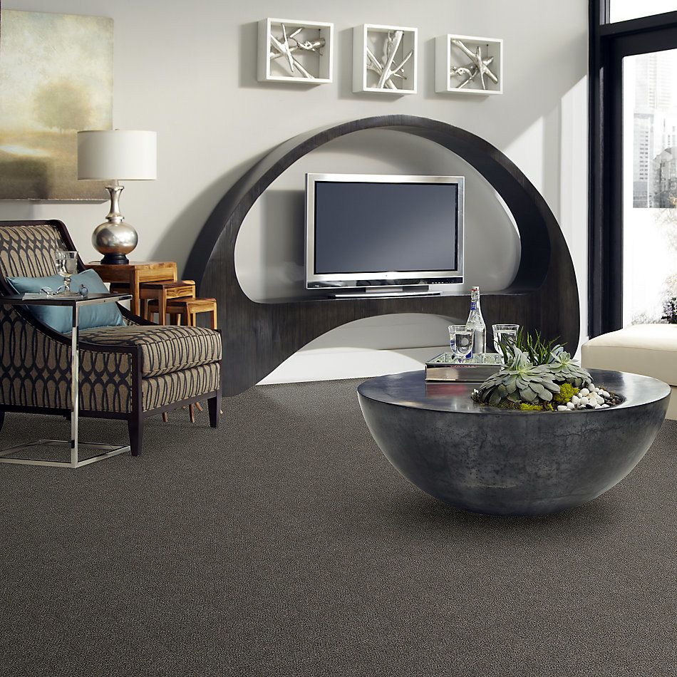Shaw Floors Simply The Best Boundless II Net Magnetic 00502_5E504