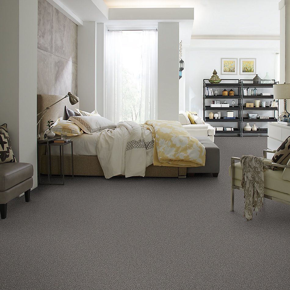 Shaw Floors Simply The Best Without Limits I Net Silver Spoon 00502_5E507