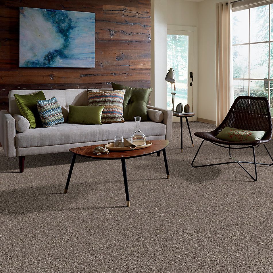 Shop Shaw Floors Clayton Homes Alcot Way Soft Taupe 00501_C184Y