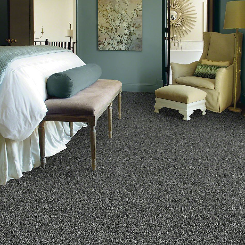 Shaw Floors Simply The Best Because We Can III 15′ Smokey Shimmer 00502_E9288