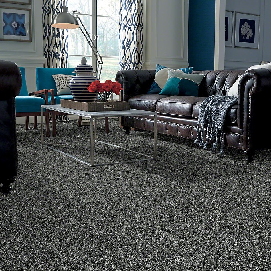 Shaw Floors Value Collections Because We Can II 15′ Net Smokey Shimmer 00502_E9315