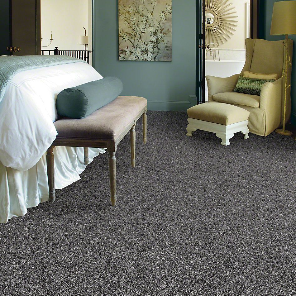Shaw Floors Simply The Best Of Course We Can I 12′ Shadow 00502_E9421