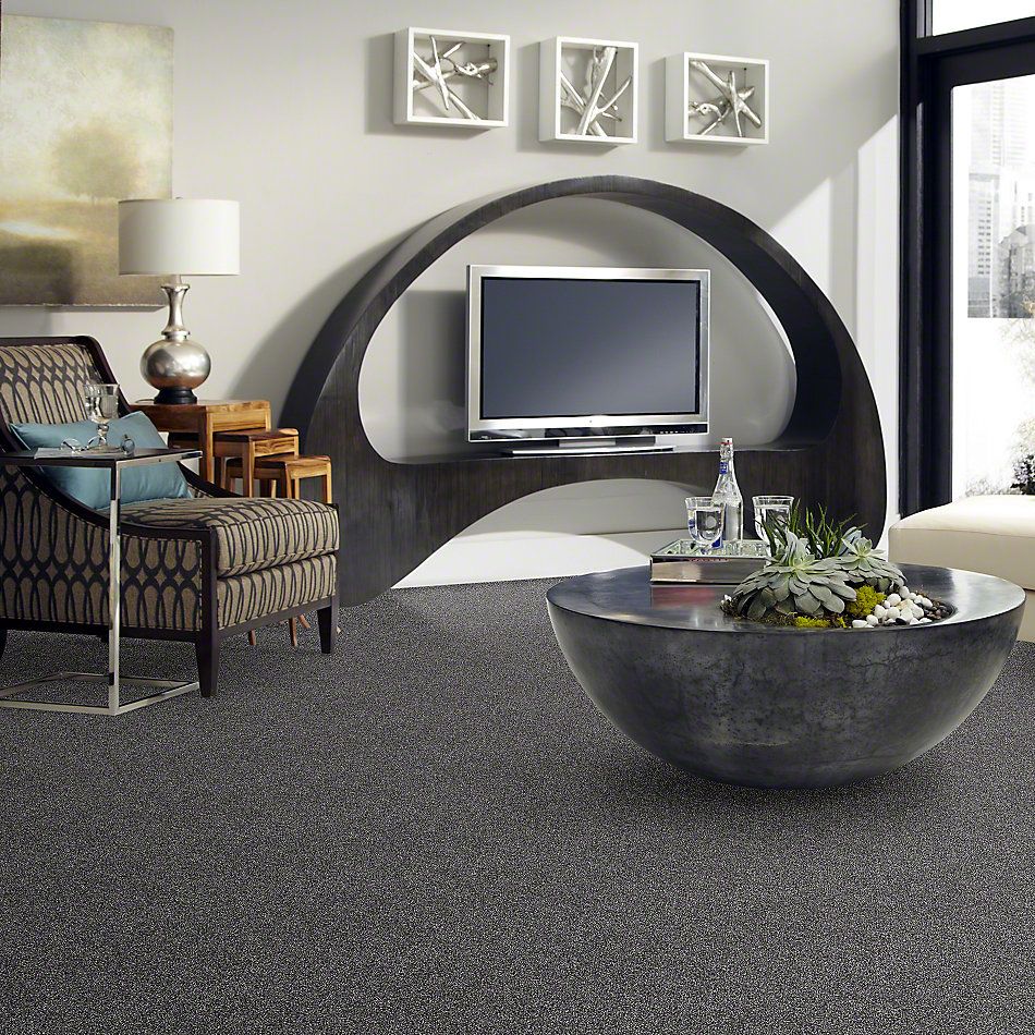Shaw Floors Simply The Best Of Course We Can I 12′ Shadow 00502_E9421