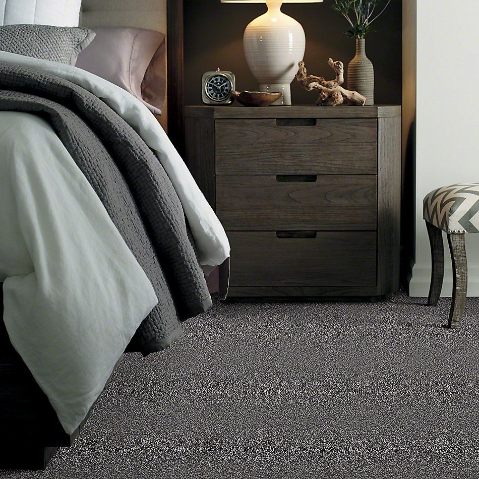 Shaw Floors Simply The Best Of Course We Can II 12′ Shadow 00502_E9423
