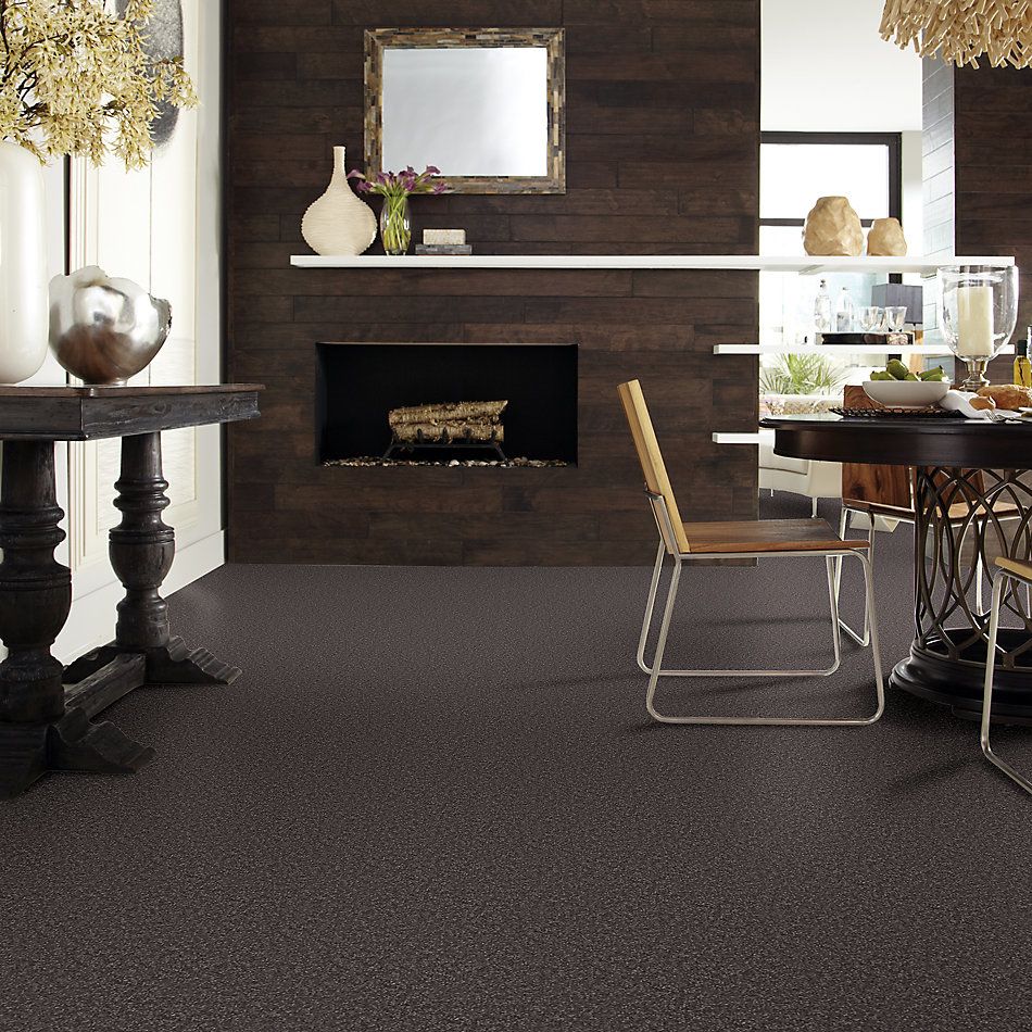Shaw Floors Value Collections Passageway II 15 Net Ship Yard 00502_E9621